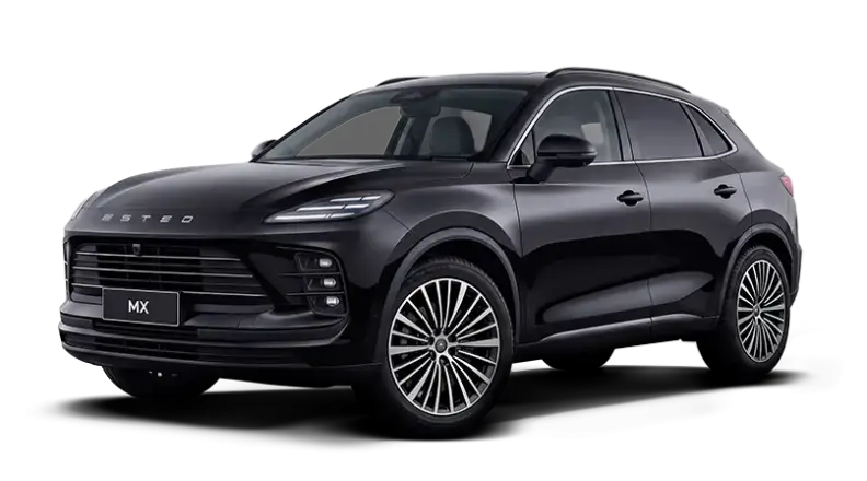 ESTEO MX Кроссовер Crystal Black