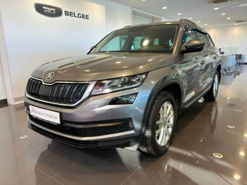 Серый Skoda Kodiaq I