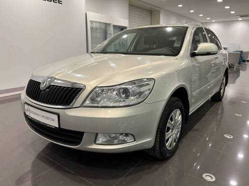 Серый Skoda Octavia II (A5) Рестайлинг