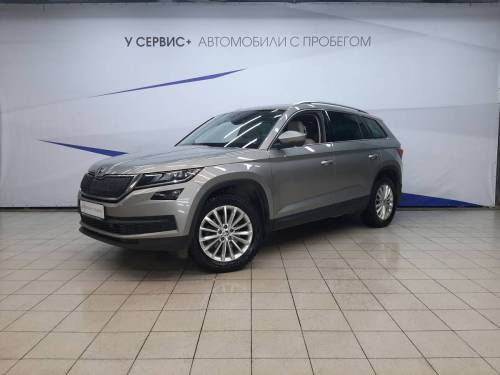 Серый Skoda Kodiaq I