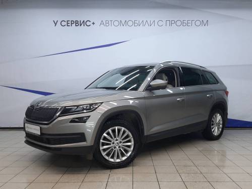 Серый Skoda Kodiaq I