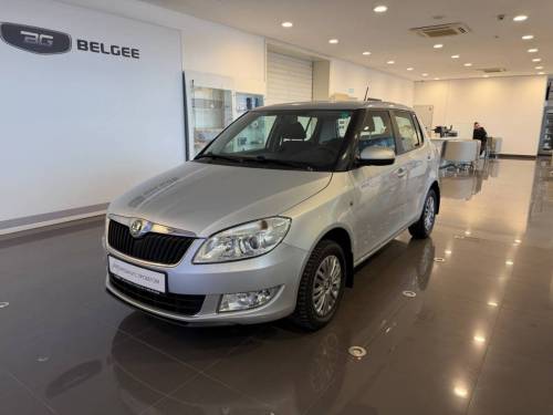 Серый Skoda Fabia II Рестайлинг