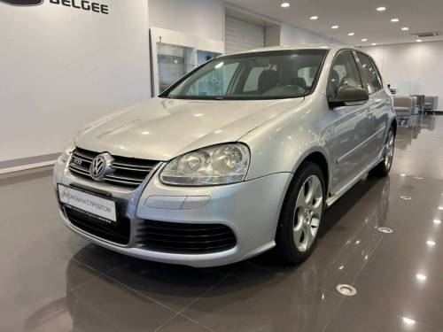 Серый Volkswagen Golf V
