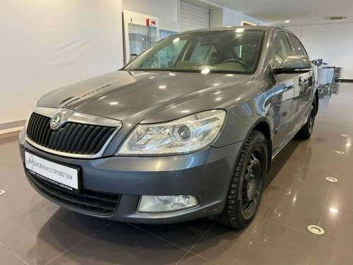 Серый Skoda Octavia II (A5) Рестайлинг