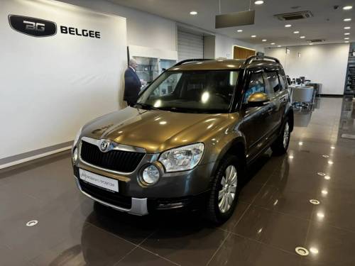 Коричневый Skoda Yeti I