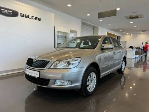 Серый Skoda Octavia II (A5) Рестайлинг