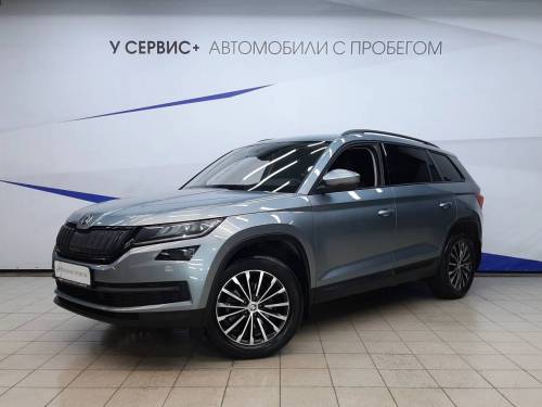 Серый Skoda Kodiaq I