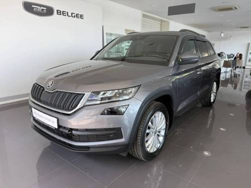 Серый Skoda Kodiaq I
