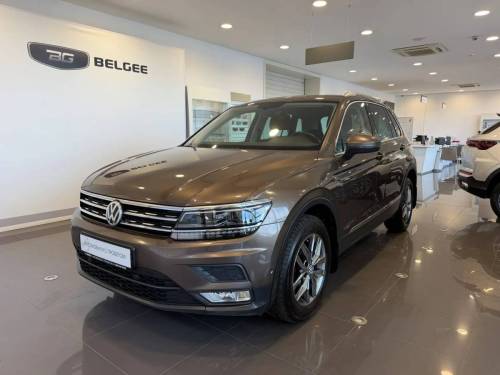 Коричневый Volkswagen Tiguan II
