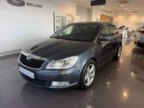 Серый Skoda Octavia II (A5) Рестайлинг