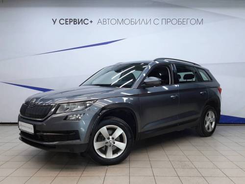 Серый Skoda Kodiaq I