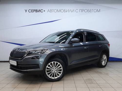 Серый Skoda Kodiaq I