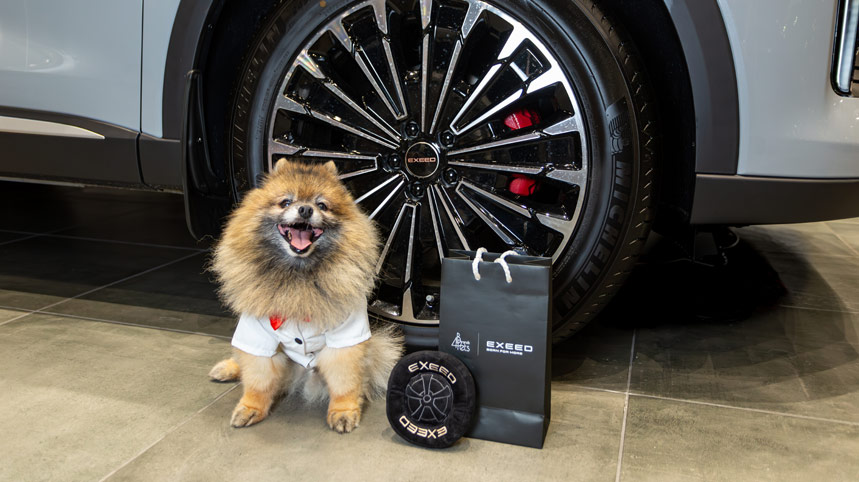ПРОГРАММА PET FRIENDLY В ДИЛЕРСКИХ ЦЕНТРАХ EXEED ВЫШЛА НА ФЕДЕРАЛЬНЫЙ УРОВЕНЬ