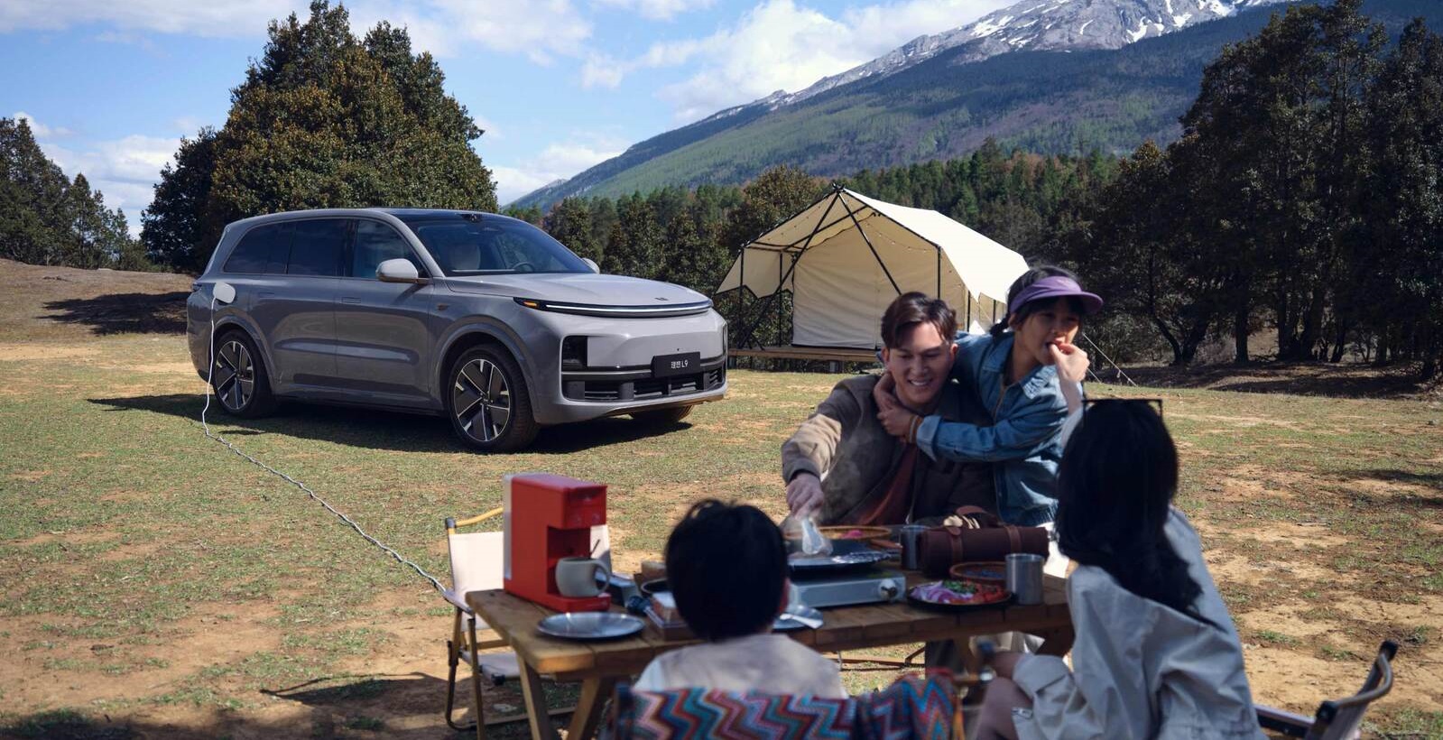 Разнообразие розеток